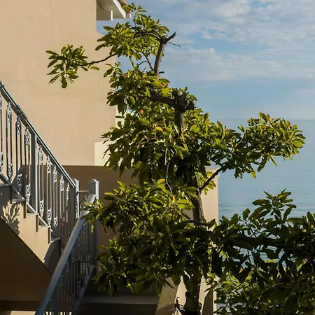 Anemona Aparthotel 2*